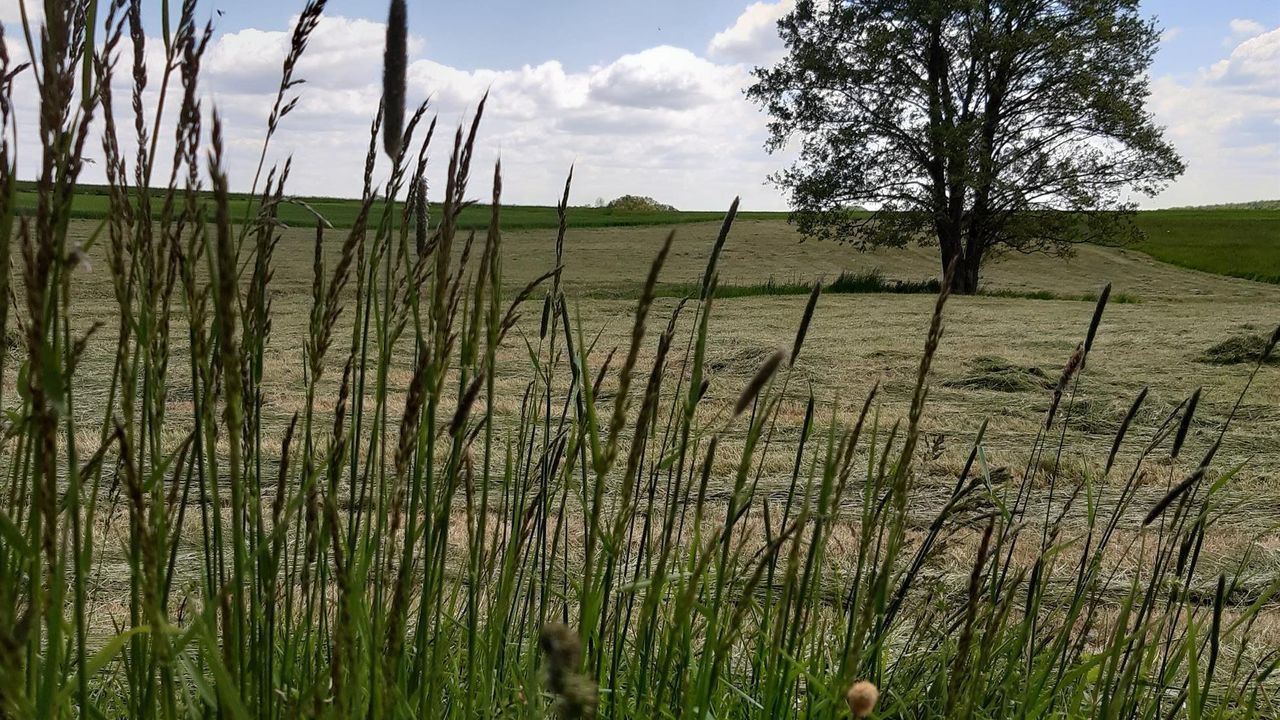 Natur-Impression Natur-Impression